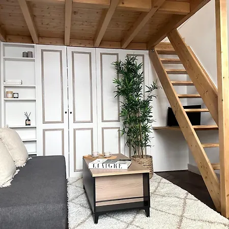 Modern & Dreamy Duplex In Le Marais *
