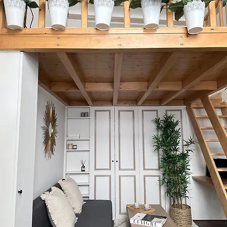 Modern & Dreamy Duplex In Le Marais Apartment